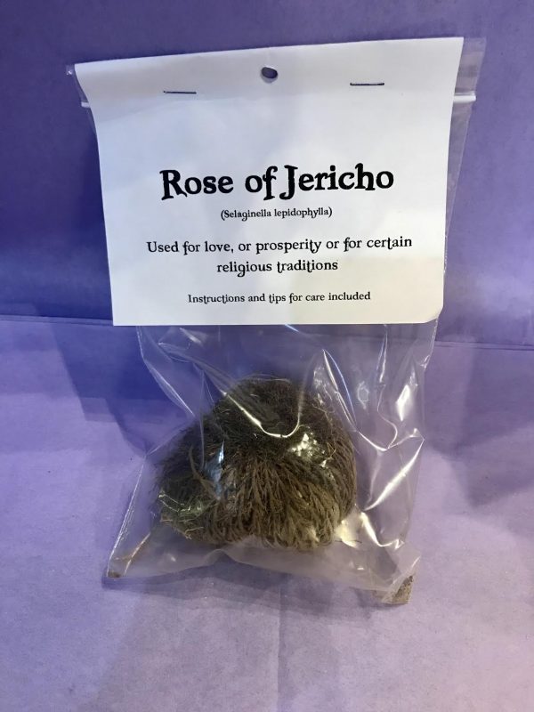 Rose of Jericho A Time for Karma